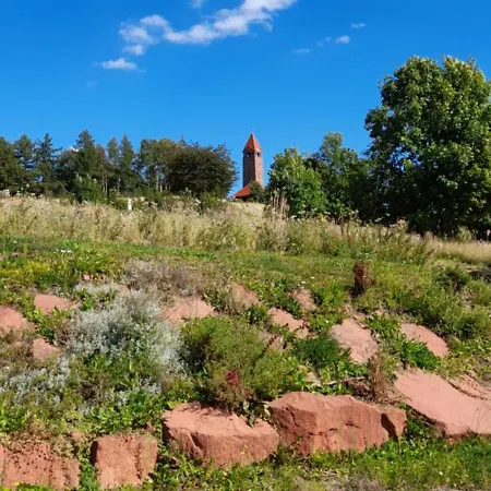 Biedronka Apartmán *