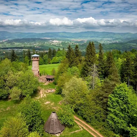 Biedronka