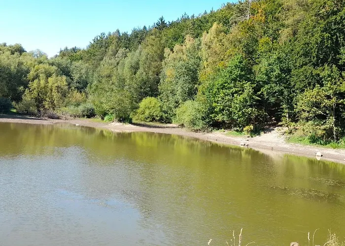 Biedronka * 新鲁达